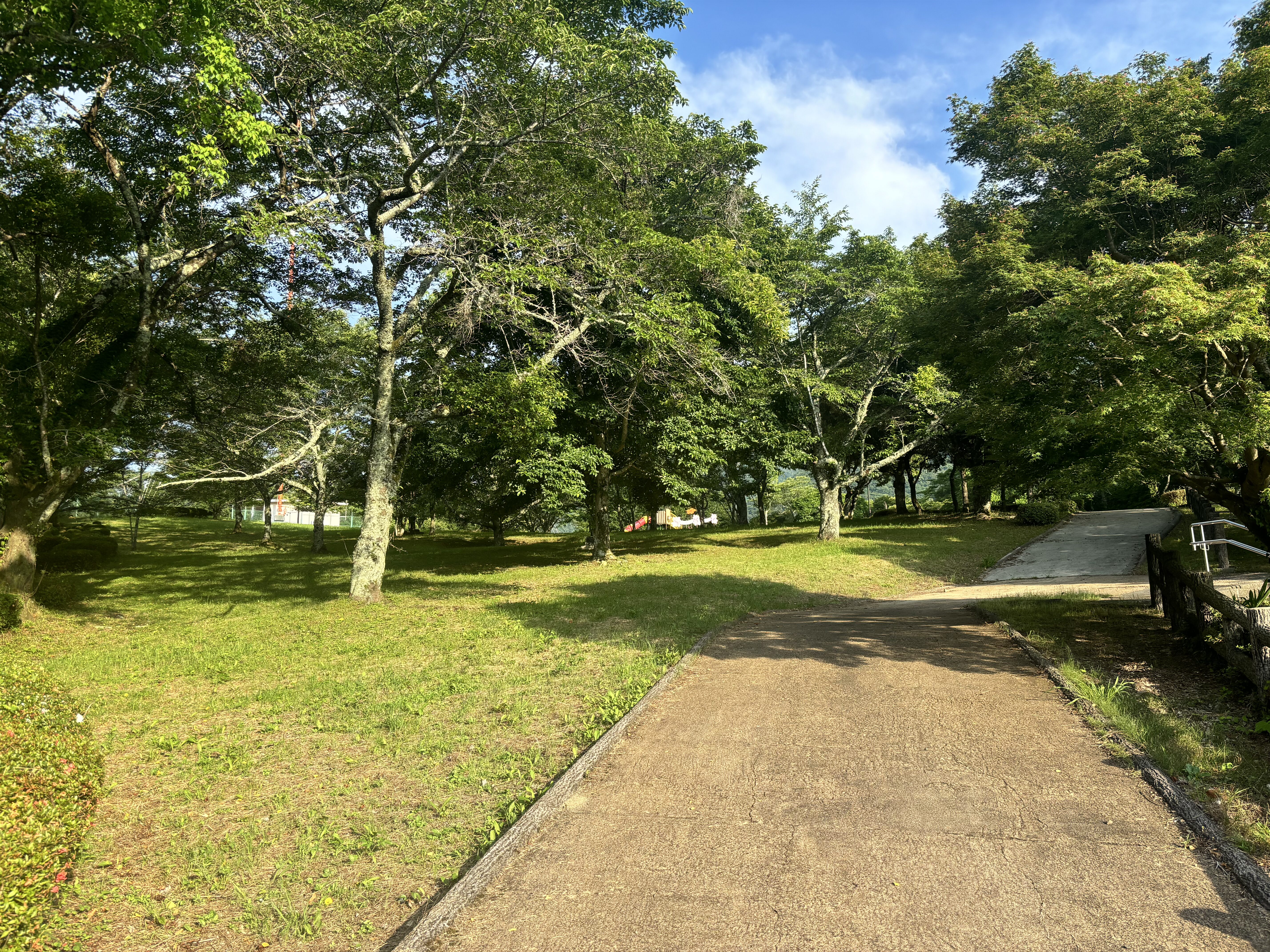 丸山公園内は道が舗装されているので、ベビーカーでも移動が可能です。